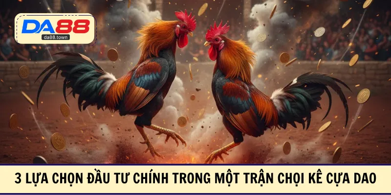 3 lựa chọn đầu tư chính trong một trận chọi kê cựa dao