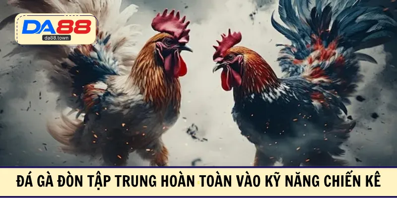 Đá gà đòn tập trung hoàn toàn vào kỹ năng chiến kê