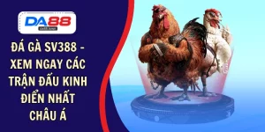 đá gà sv388