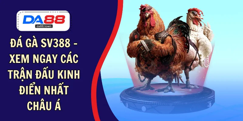 đá gà sv388