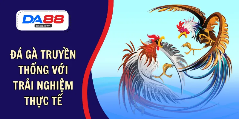 Thử sức cá cược đá gà trực tuyến gay cấn nhất thập kỷ