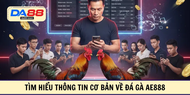 Tìm hiểu thông tin cơ bản về đá gà AE888